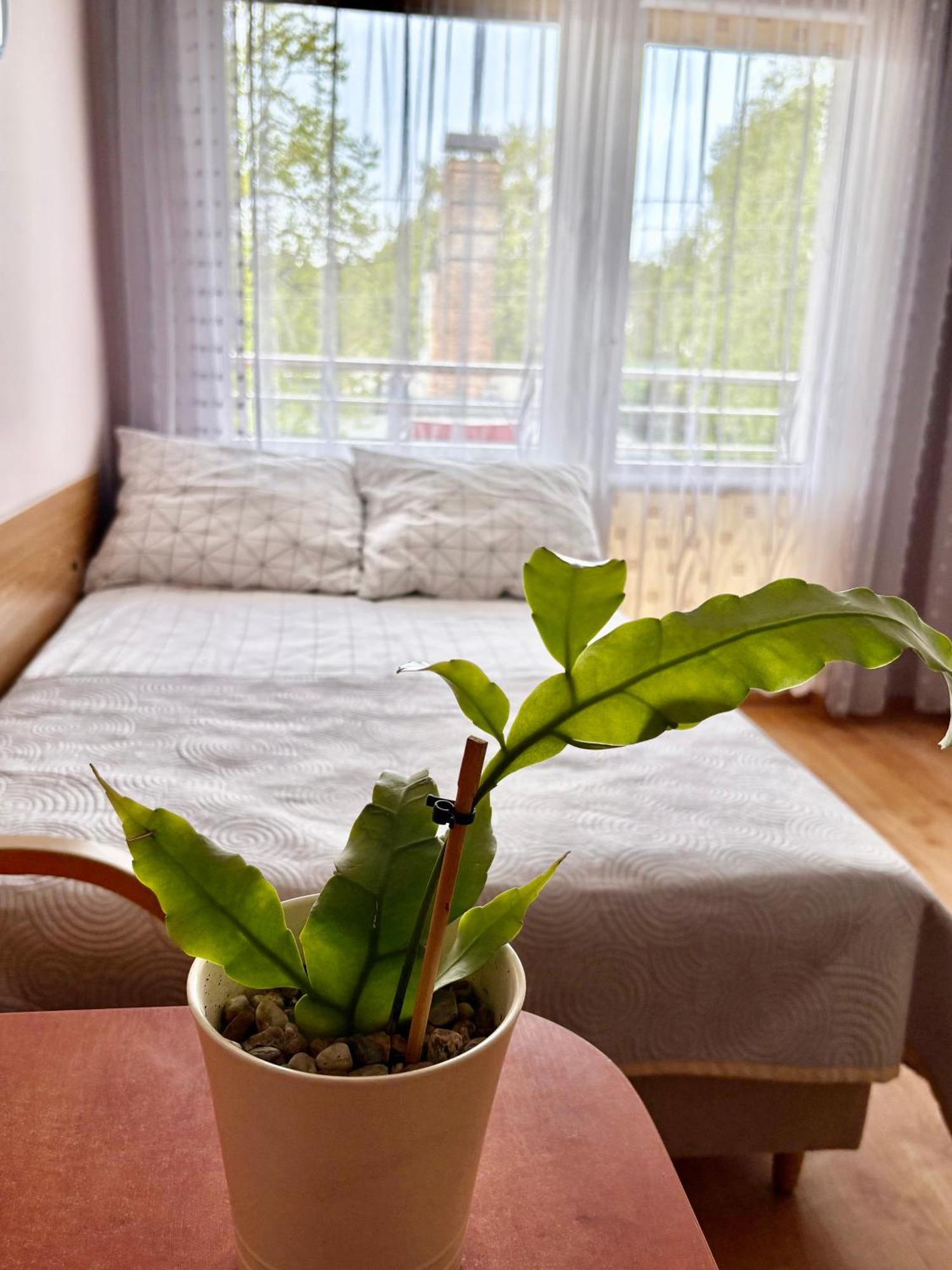 웨바 Fonica B&B 외부 사진
